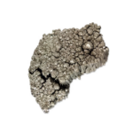 Хлорид скандия ScCl3xH2O